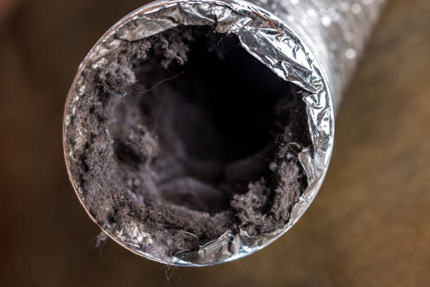 Best Commercial Air Duct Cleaning  in Starbuck, MN