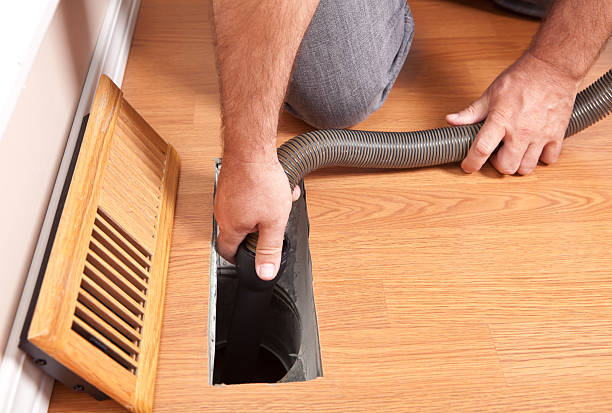 Best Dryer Vent Cleaning Services  in Starbuck, MN