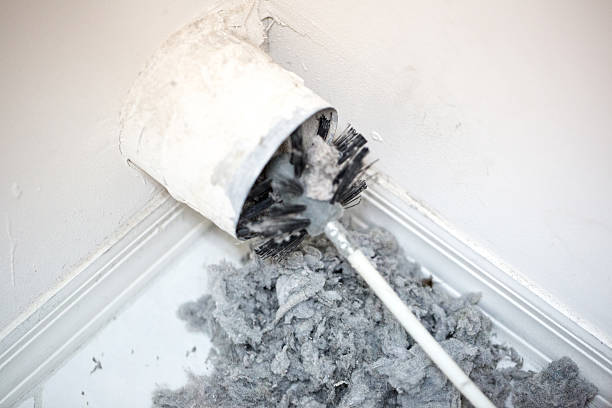 Best Professional Duct Cleaning Services  in Starbuck, MN