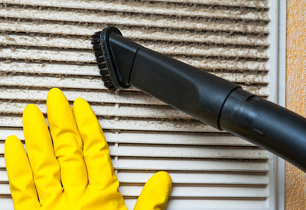 Best HVAC Air Duct Cleaning  in Starbuck, MN